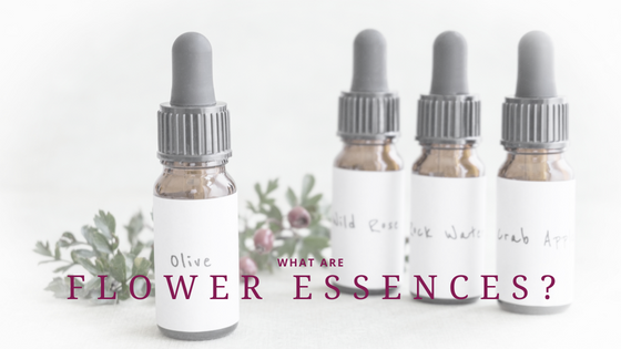 What are Flower Essences?