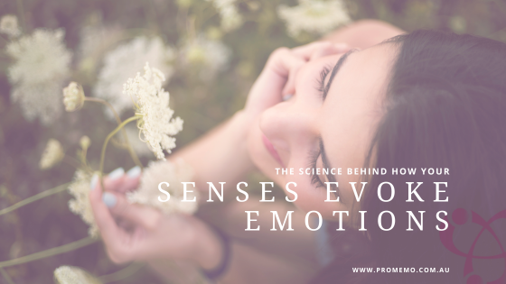 The Science Behind How Your Senses Evoke Emotions